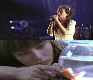 柴咲コウ,女優,歌手,実業家,若い頃,可愛い,2003年